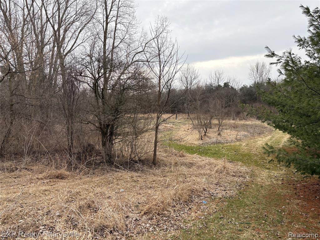 12265 Hough Road, Memphis, MI — Photo 37