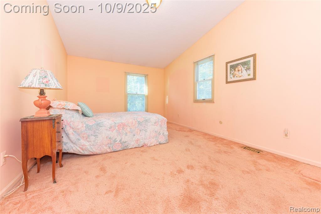 42265 S Mill Race Court, Plymouth, MI 48170 — Photo 21