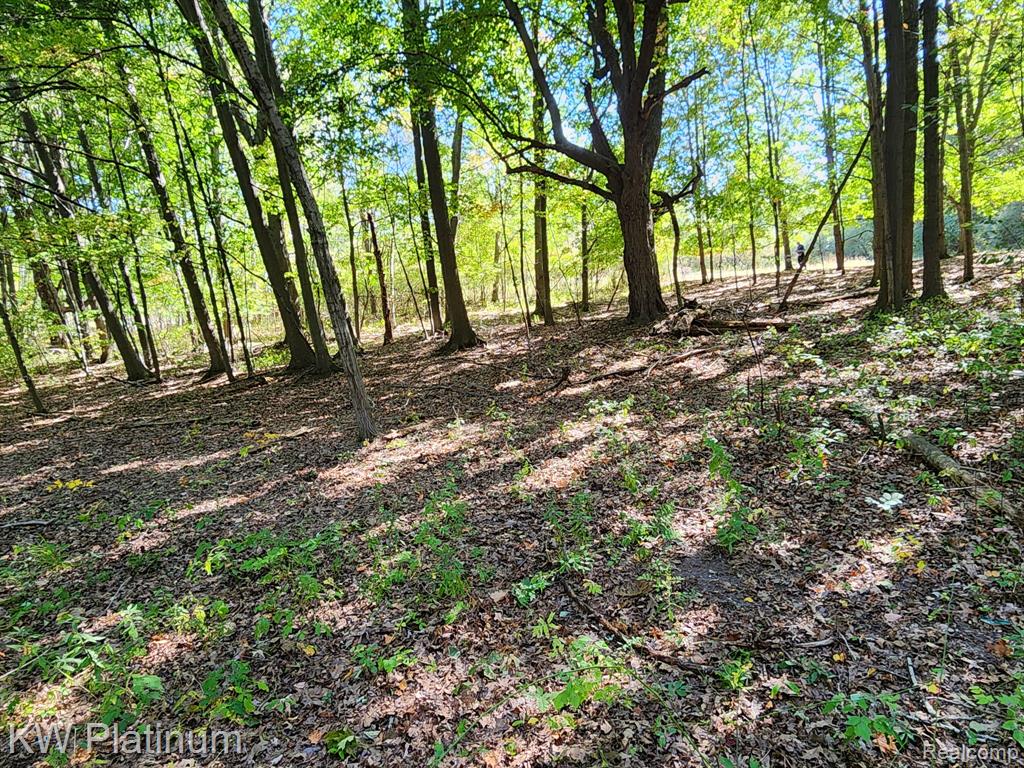 8060 Brockway Road, Melvin, MI 48454 — Photo 32