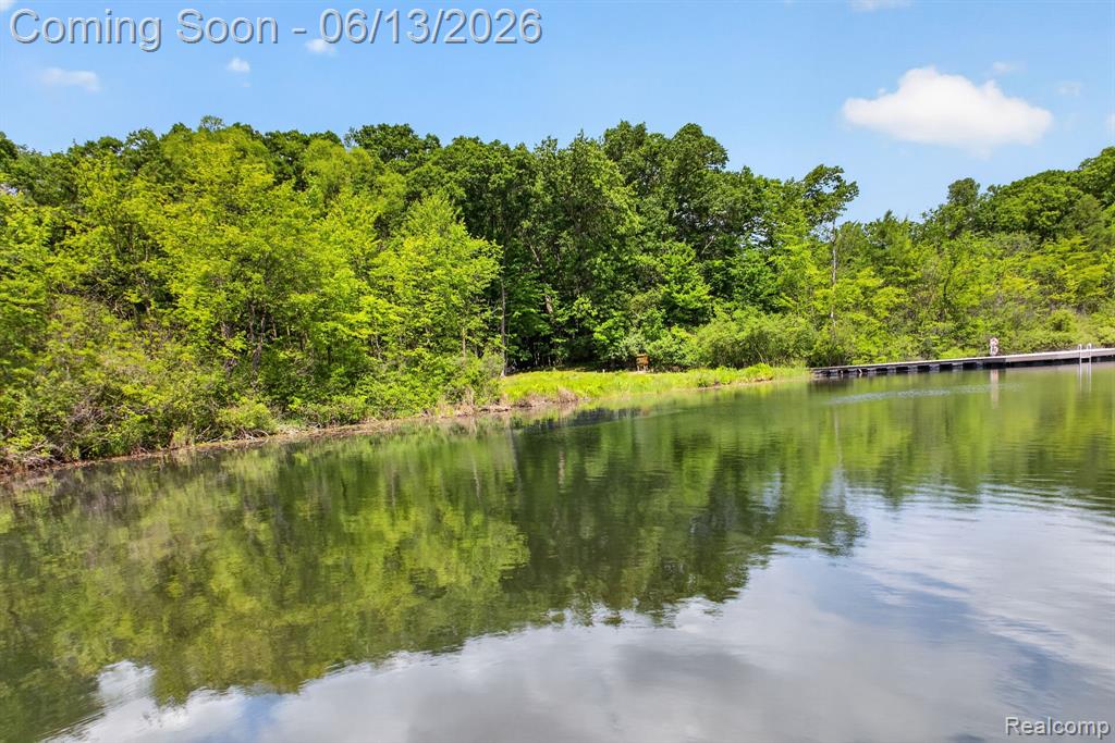 9961 Cross Creek Drive, South Lyon, MI 48178 — Photo 92