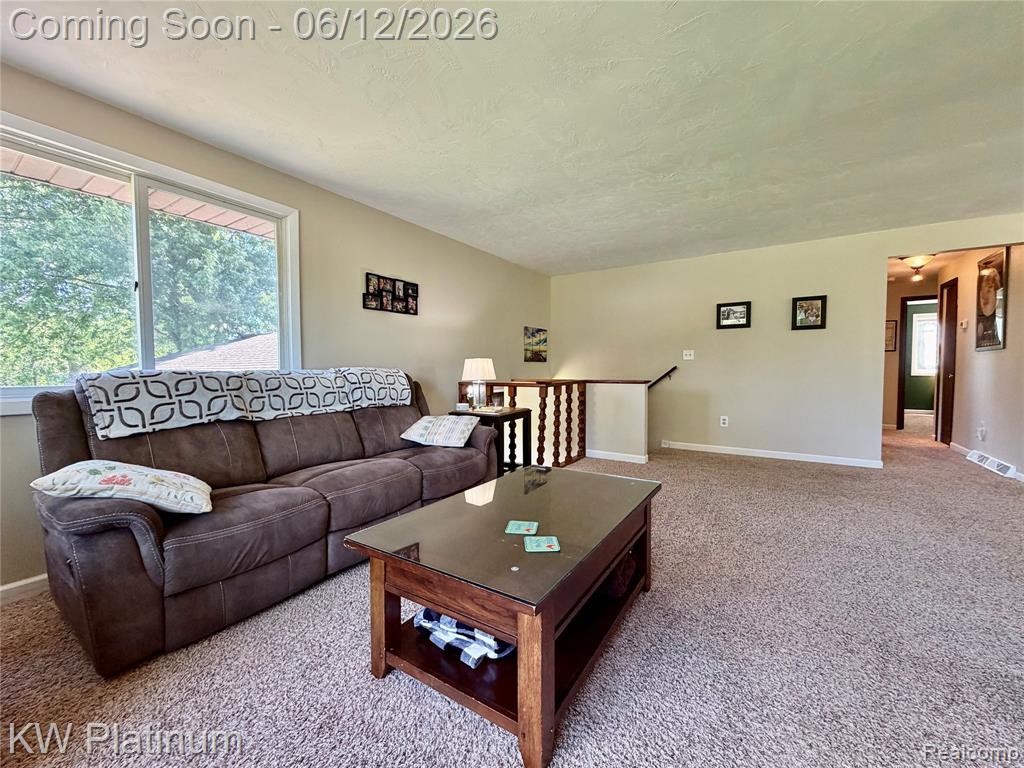 4059 Galbraith Line Road, Croswell, MI 48422 — Photo 7
