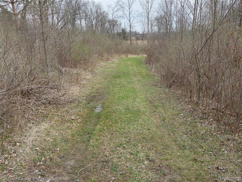 VL Rattle Run Road, St. Clair, MI 48079 — Photo 9