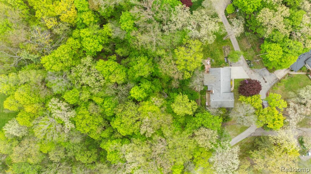 3560 North Road, Clyde, MI 48049 — Photo 48