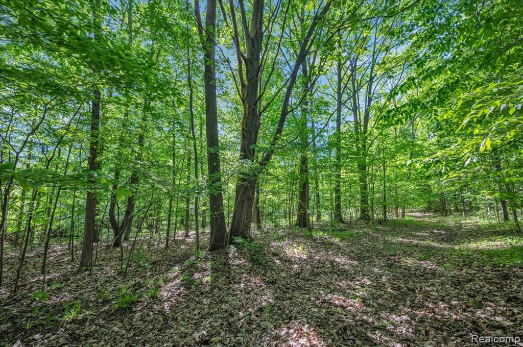 6250 Stine Road, Imlay City, MI 48444 — Photo 58