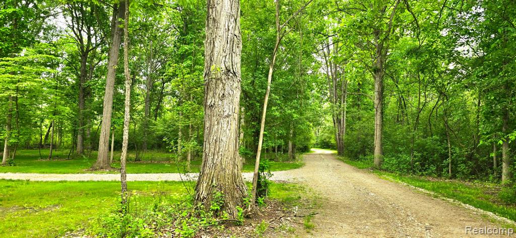 3483 Windwheel Point Drive, Pinckney, MI 48169 — Photo 99
