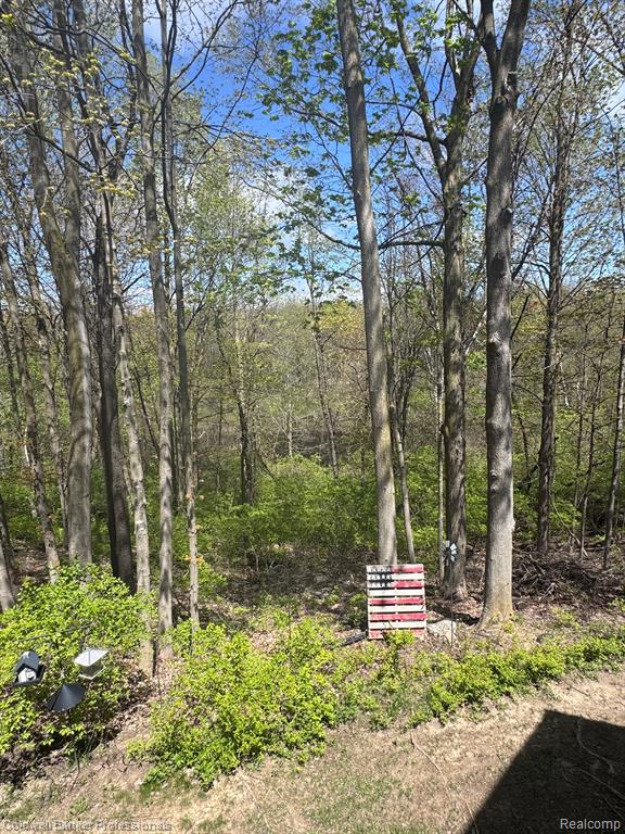 98 FOX HOLLOW Drive, Metamora, MI 48455 — Photo 9