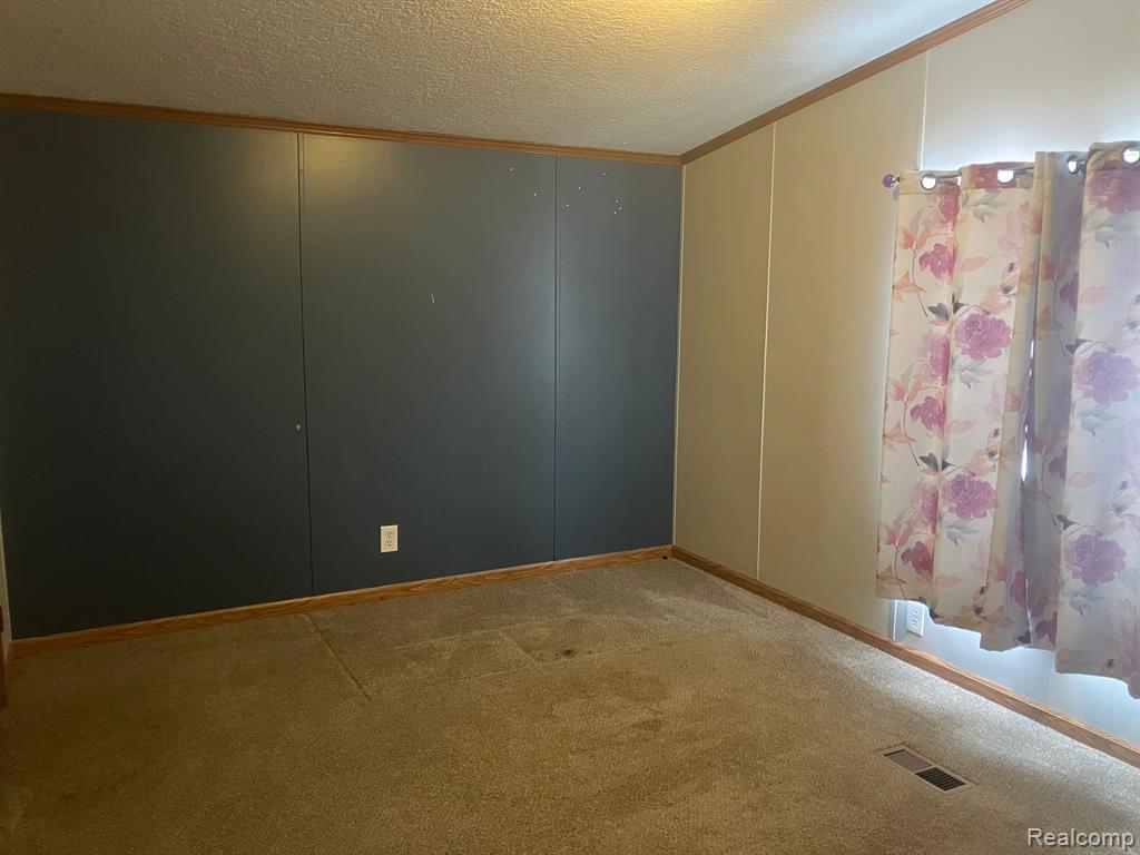 520 Pond View, Morrice, MI 48857 — Photo 14
