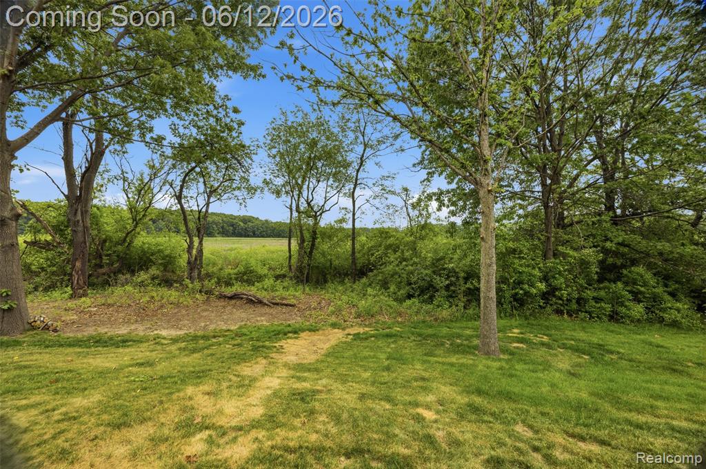 3775 Druid Drive, Brighton, MI 48114 — Photo 50
