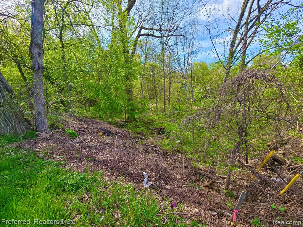 9691 Elizabeth Lake Road, White Lake, MI — Photo 5