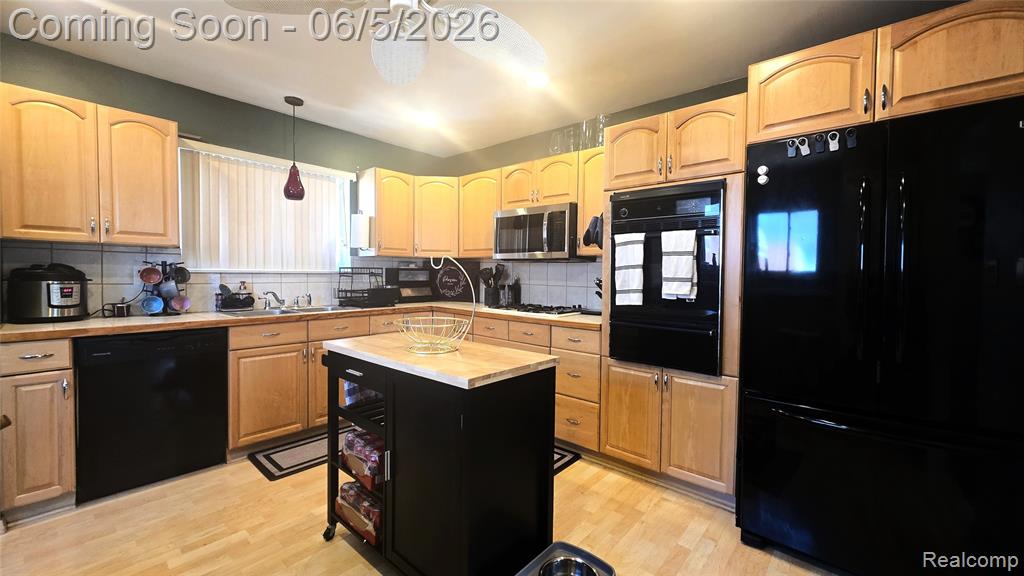 16017 Chestnut Street, Roseville, MI 48066 — Photo 11