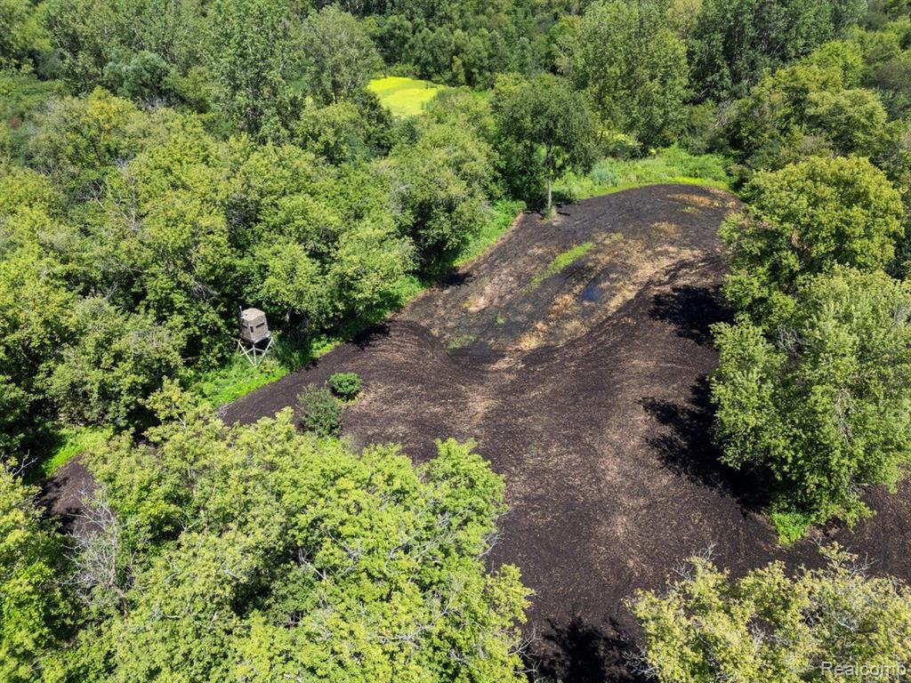 V/L BLAKE Road, Jackson, MI 49201 — Photo 19
