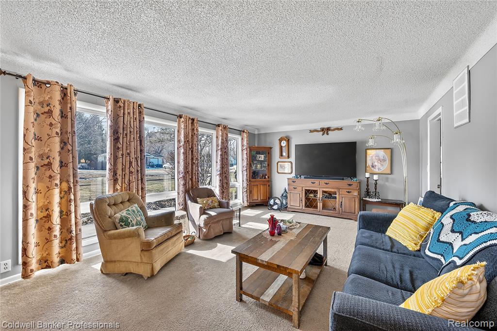 132 W Main Street, Mayville Vlg, MI 48744 — Photo 8