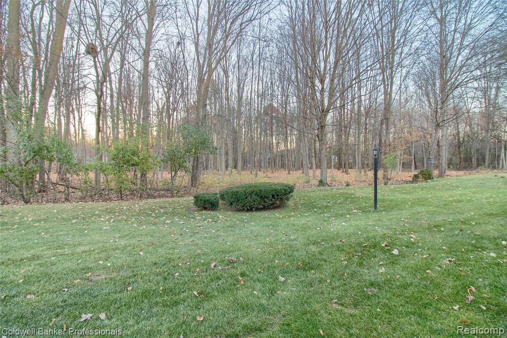 41816 White Tail Lane, Canton, MI 48188 — Photo 32