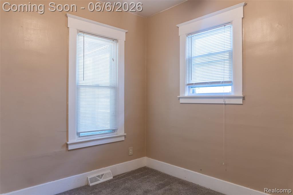 207 Richter Street, River Rouge, MI 48218 — Photo 18