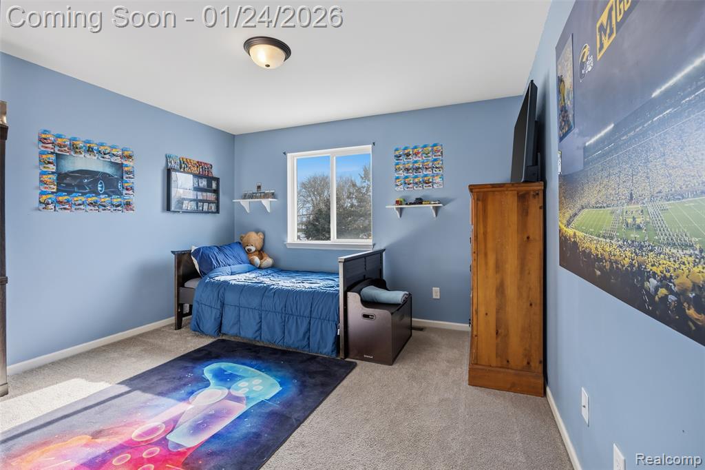 9005 Birch Pointe Drive, Newport, MI 48166 — Photo 18