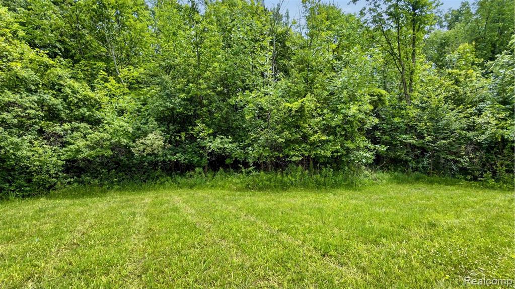 Vacant Lot- Judson Rd-Judson Park Sub, Rochester Hills, MI 48306 — Photo 16