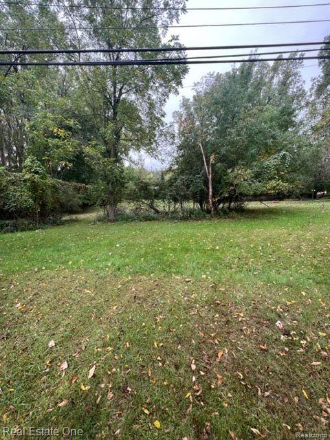 000,001,002,003 Walton - possible 4 home sites - Photo 5