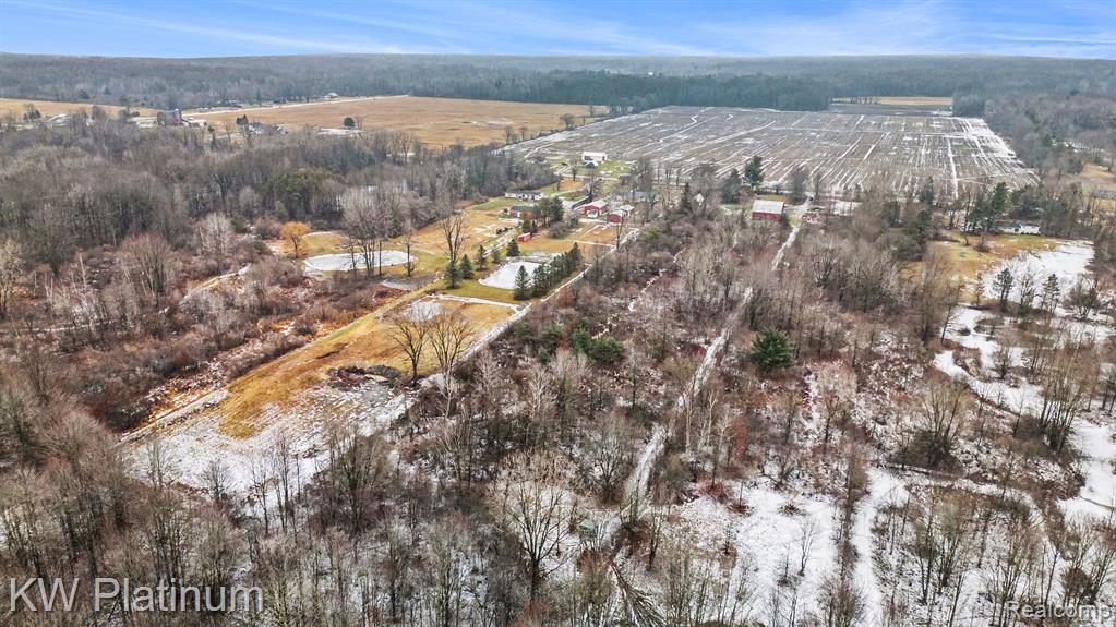 4202 Palms Road, Casco, MI 48064 — Photo 22