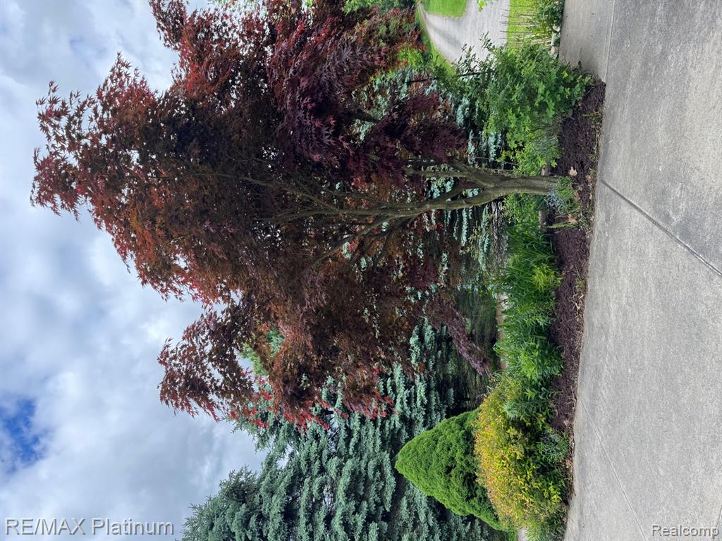 5245 FLEMING ROAD, Fowlerville, MI 48836 — Photo 43