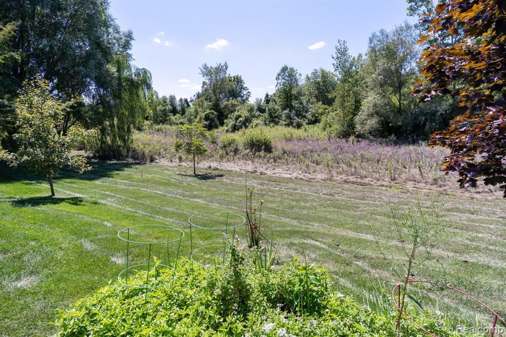 49301 Clinton Terrace Drive, Macomb, MI 48044 — Photo 46