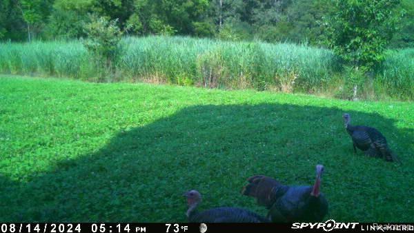 V/L BLAKE Road, Jackson, MI 49201 — Photo 78
