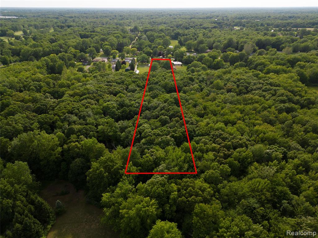 21515 Huron River Drive, New Boston, MI 48164 — Photo 60