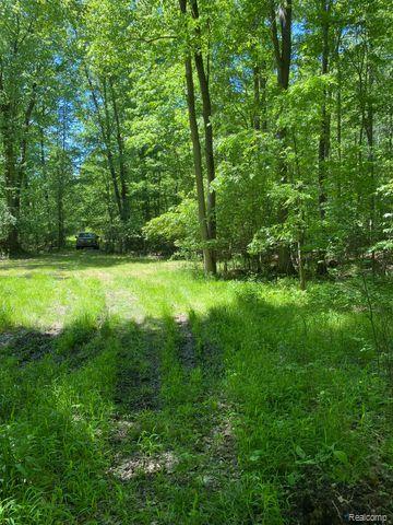 V/L UNDERWOOD Road, Caro, MI 48723 — Photo 3