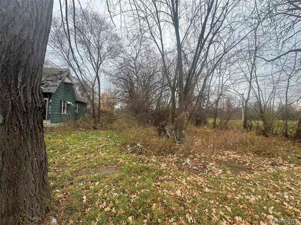 4226 18TH Street, Detroit, MI 48208 — Photo 8