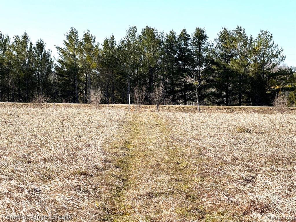 4052 S RIVER Road, Cheboygan, MI 49721 — Photo 8