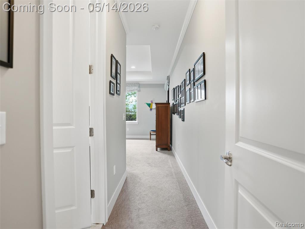 3513 Pointe Shore Drive, Brighton, MI 48114 — Photo 13