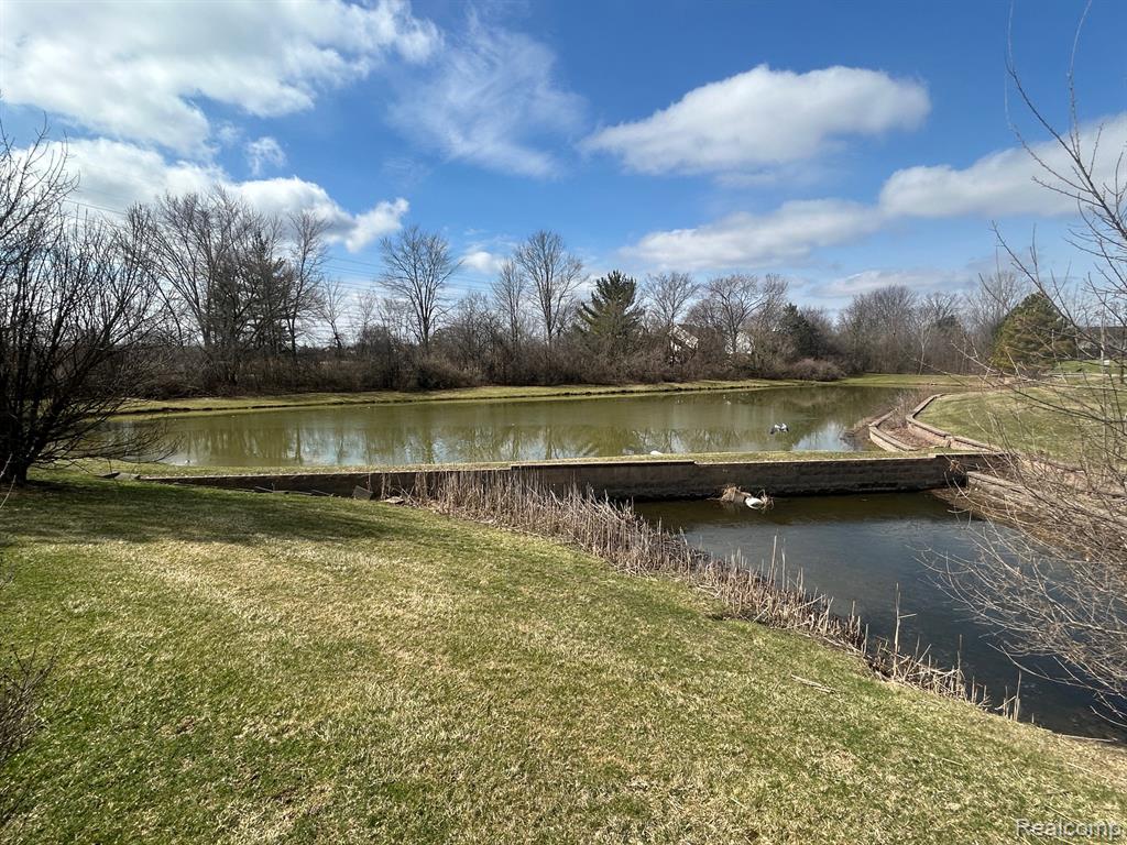 855 CHELSEA Road, Canton, MI 48187 — Photo 52