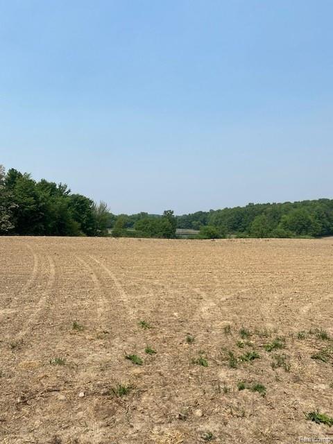 7451 Fostoria Road, Mayville Vlg, MI 48744 — Photo 23
