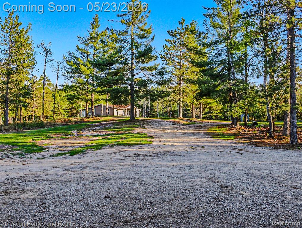 6691 Boone Lane, Vanderbilt, MI 49795 — Photo 31