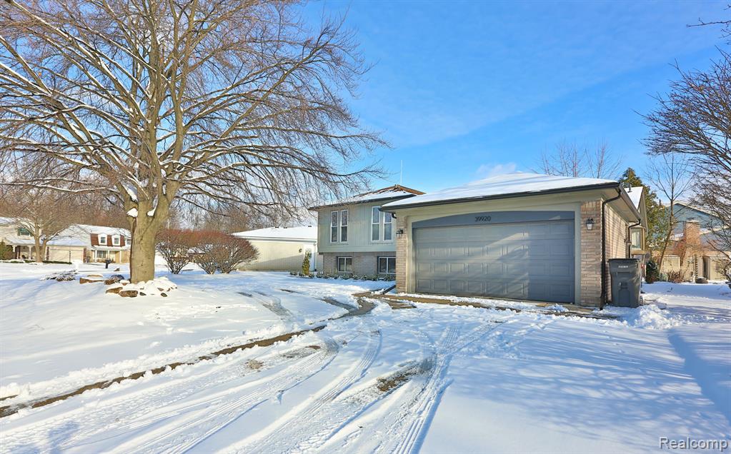 39920 BAROQUE Boulevard, Clinton Twp, MI 48038 — Photo 4