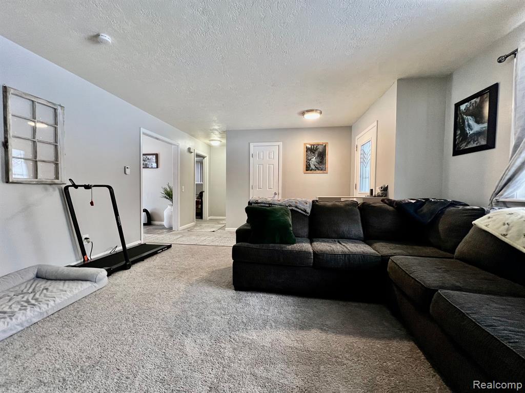4245 Peck Road, Port Huron, MI 48060 — Photo 3