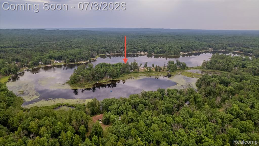 8272 Paradise Drive, South Branch, MI 48761 — Photo 47