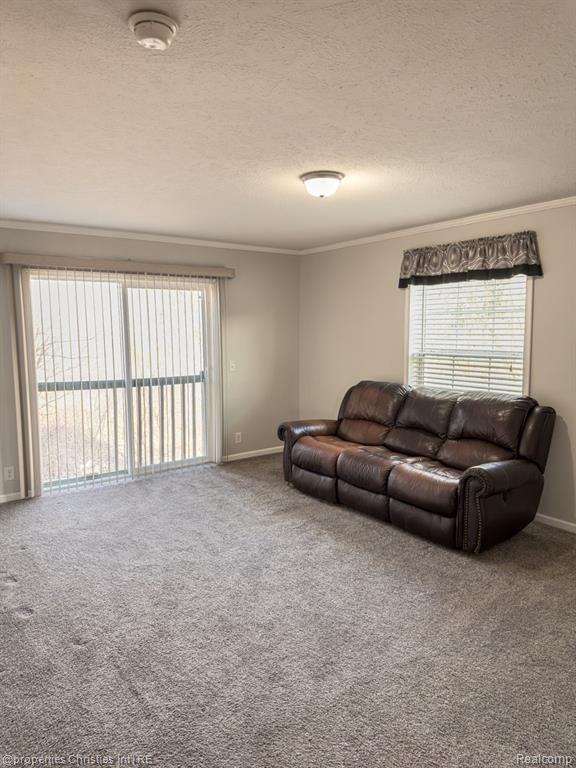 11201 SPRING ARBOR, South Lyon, MI 48178 — Photo 3