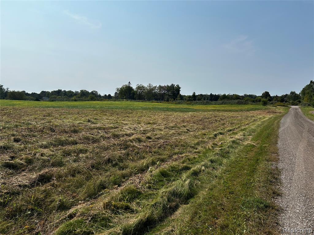 Parcel N N Hacker Road, Howell, MI 48843 — Photo 5