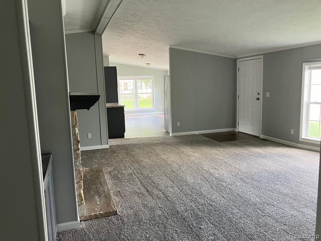 412 N Hidden Ridge Road, Morrice, MI 48857 — Photo 6