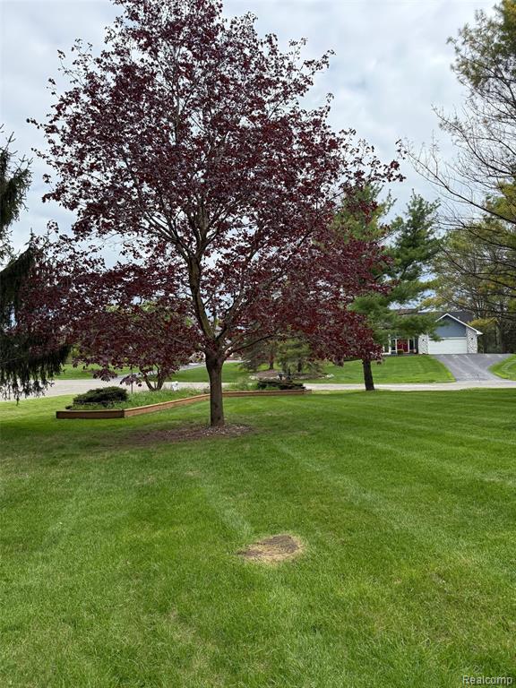 12921 Ann Lynn Drive, South Lyon, MI 48178 — Photo 4
