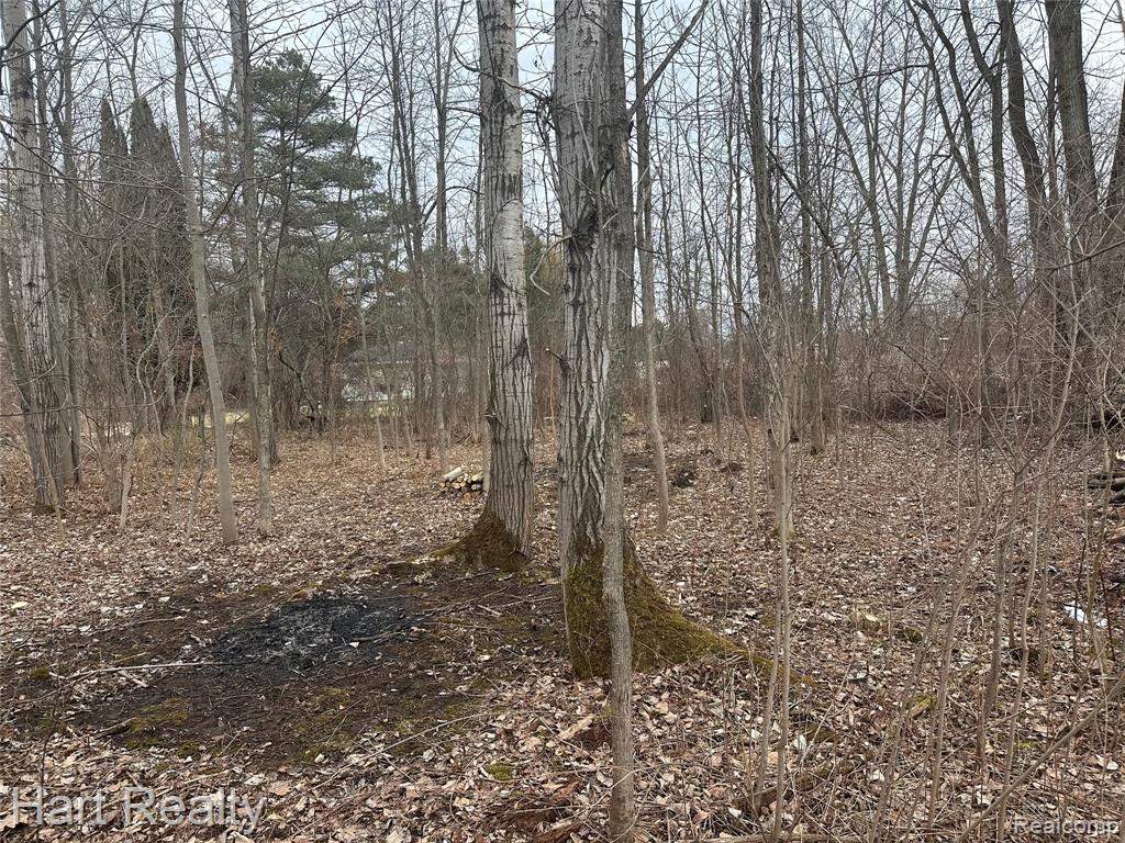 4250 Midway Road, MI — Photo 15