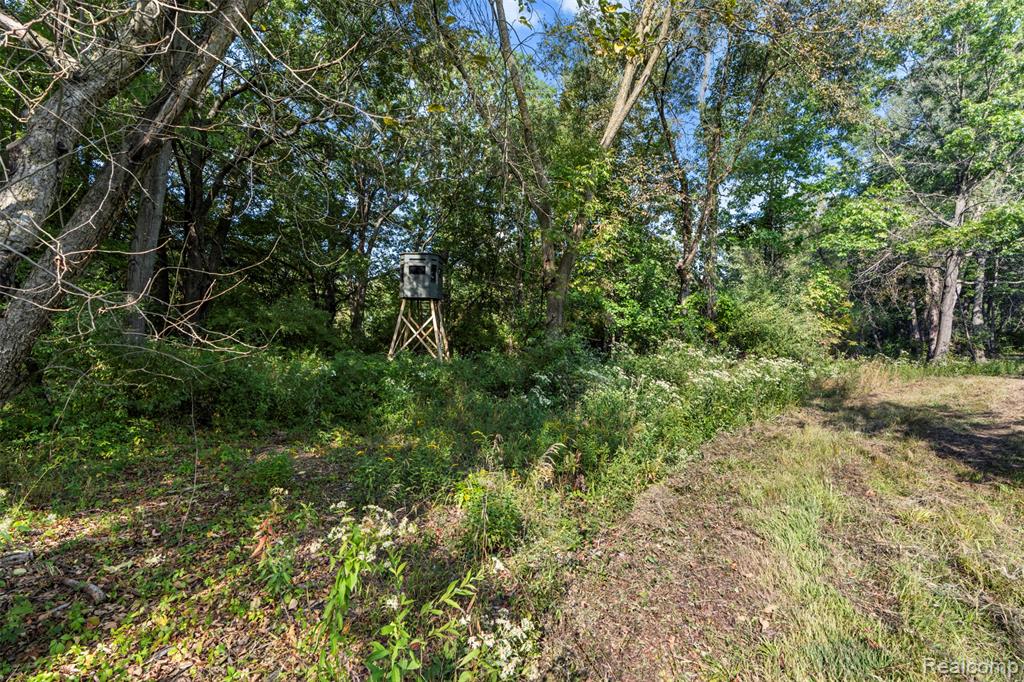 2666 E Oakwood Road, Addison, MI 48370 — Photo 48