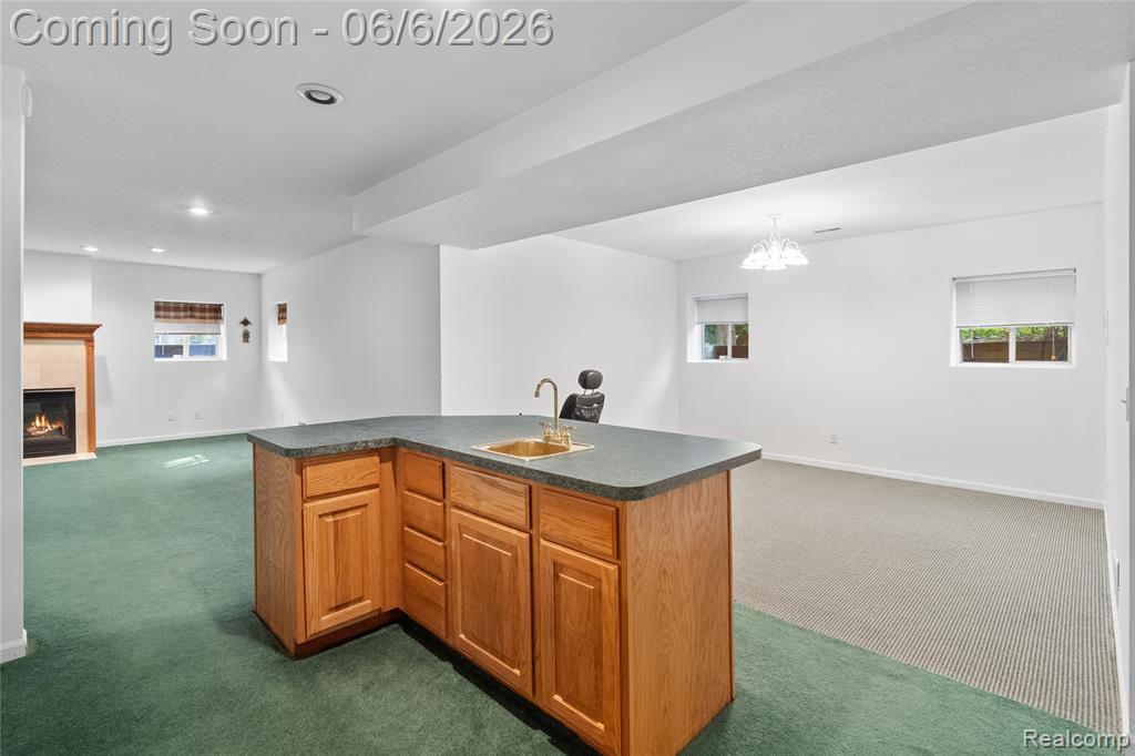 3433 Pinemeadow Court, Davison, MI 48423 — Photo 63