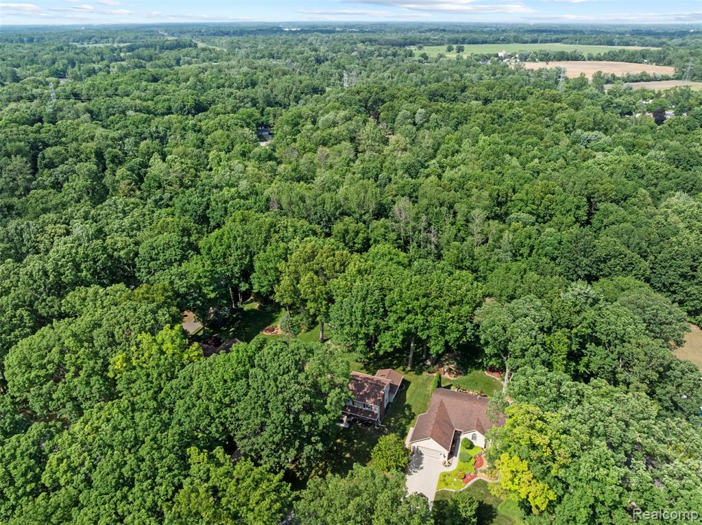 13256 Pine Valley Drive, Clio, MI 48420 — Photo 7