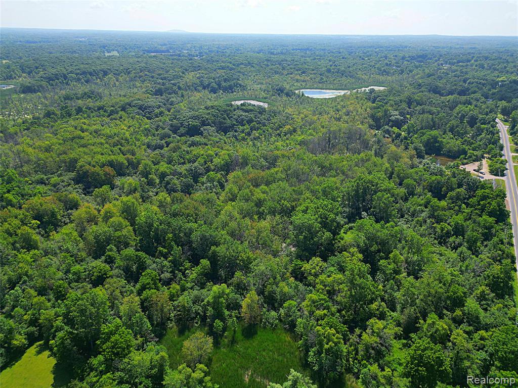 412 E Shore Drive, Whitmore Lake, MI 48189 — Photo 63