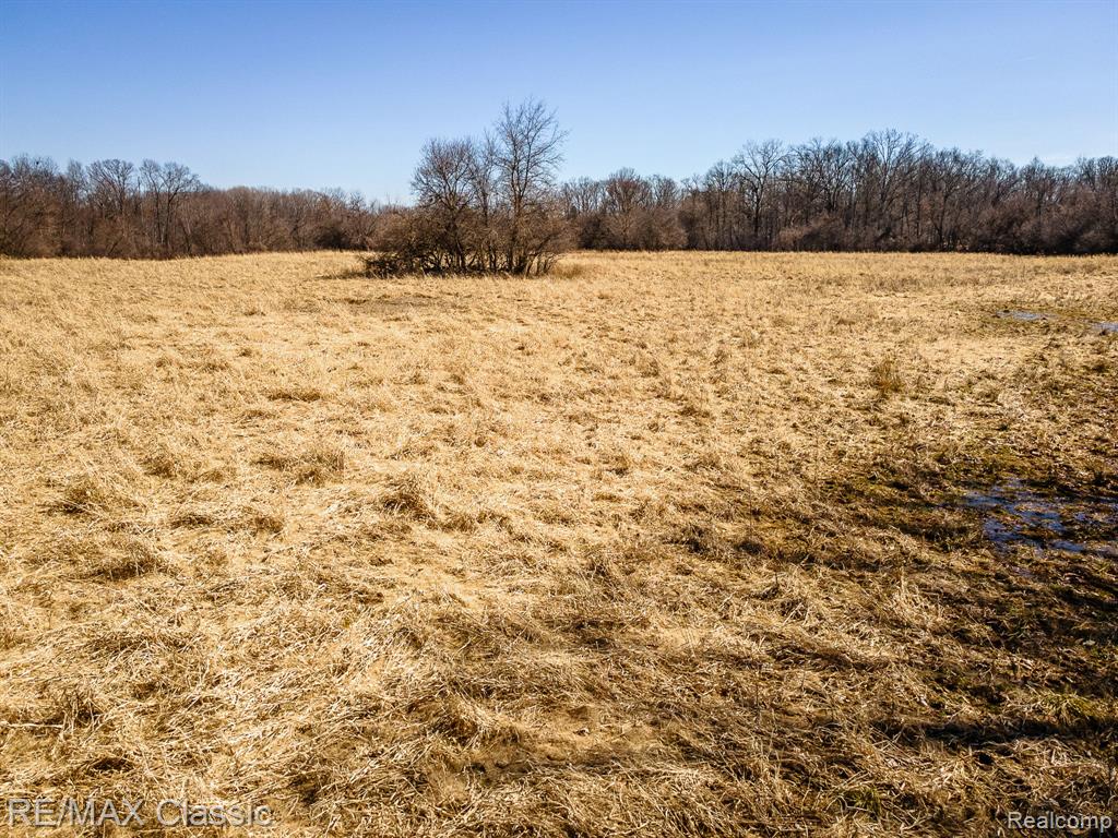 Vacant Spencer Road, South Lyon, MI 48178 — Photo 9