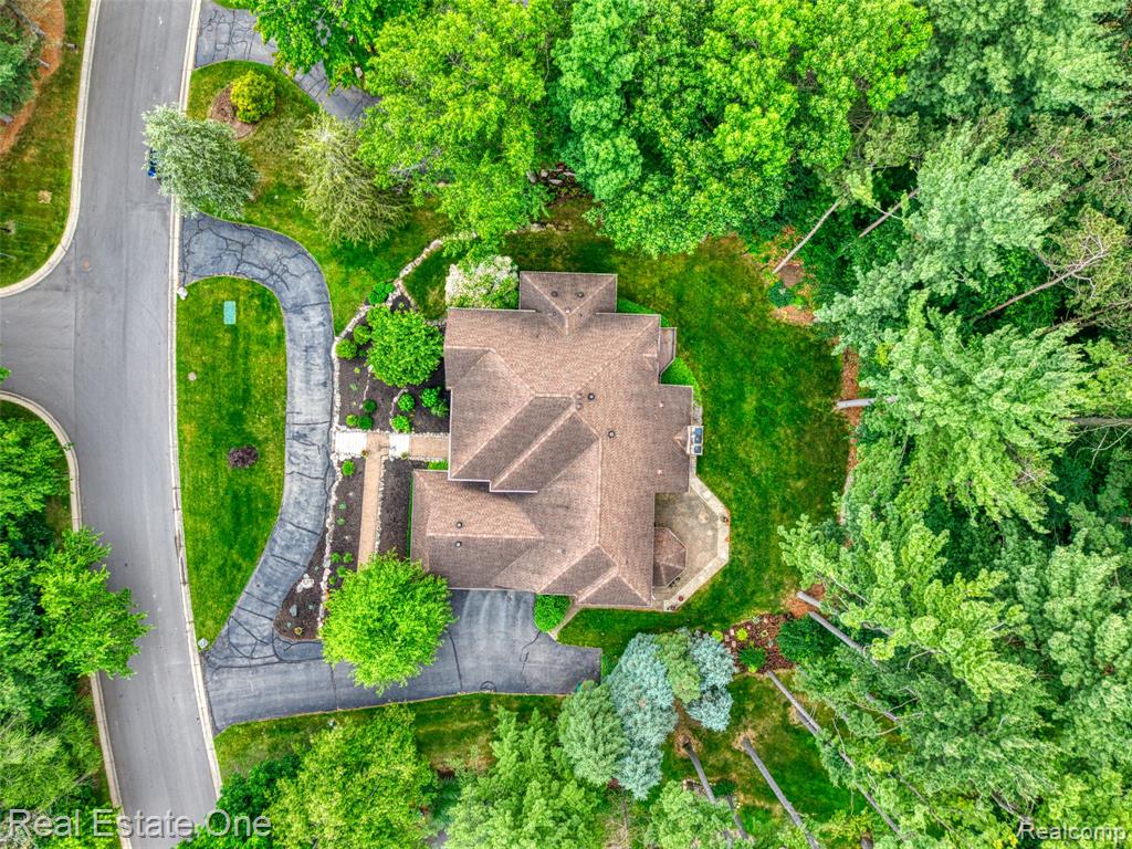 5258 Hidden Pines Drive, Brighton, MI 48116 — Photo 6