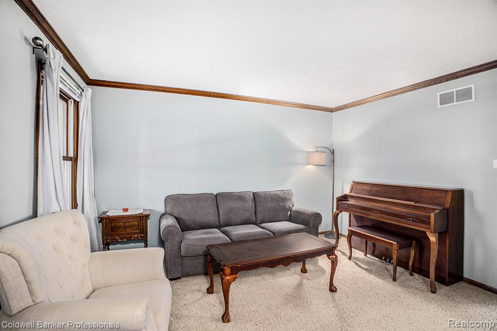 503 E Geneva Drive, Dewitt, MI 48820 — Photo 6