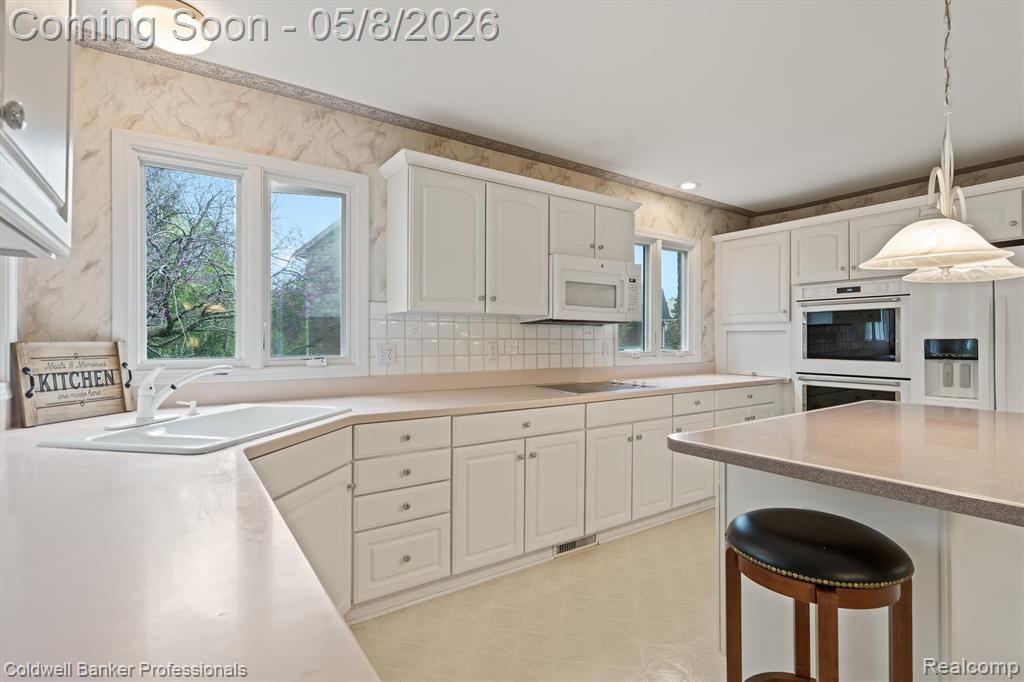 46770 Southview Lane, Plymouth, MI 48170 — Photo 16