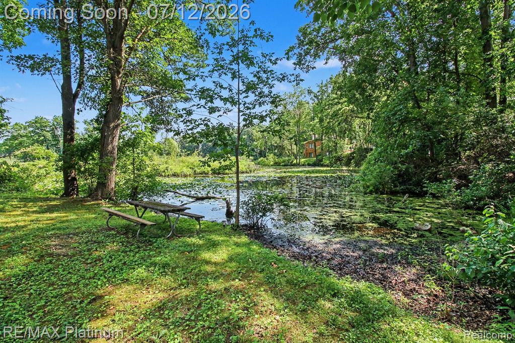 6317 Kevin Drive, Brighton, MI 48116 — Photo 23